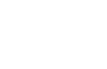 opt-Regin